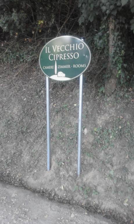 산지미냐노 Il Vecchio Cipresso 아파트 외부 사진